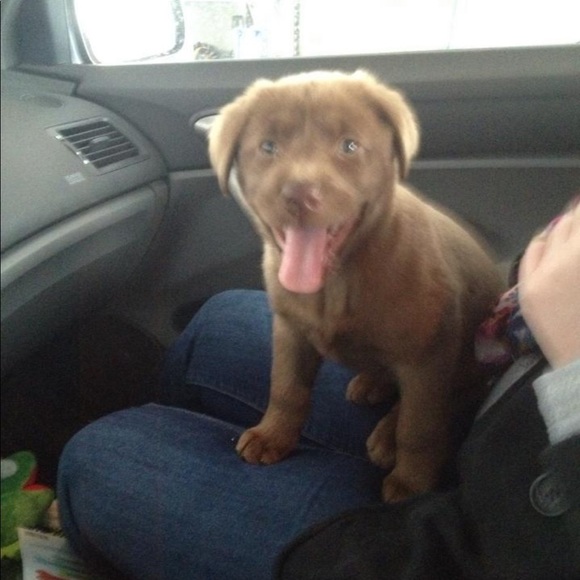 Meet your Posher, Michael - Picture 1 of 1